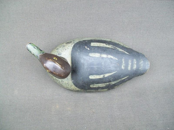 Canadian Red Head Drake Ontario