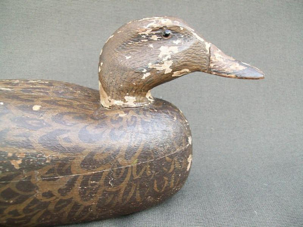 Heck Whittington working Mallard Hen