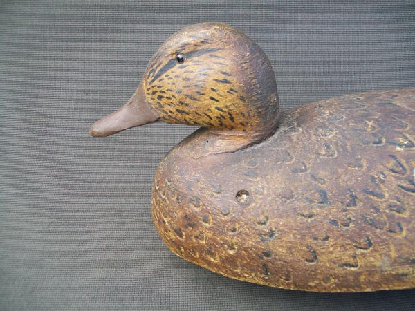 Frank Schmidt Mallard Hen with Keel