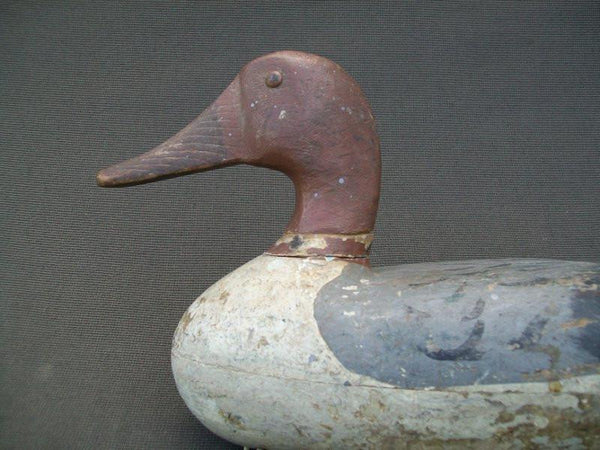 Richard Sheppard Pintail Drake Pekin Illinois