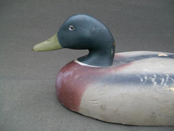 Wildfowler Mallard Drake, Old Saybrook