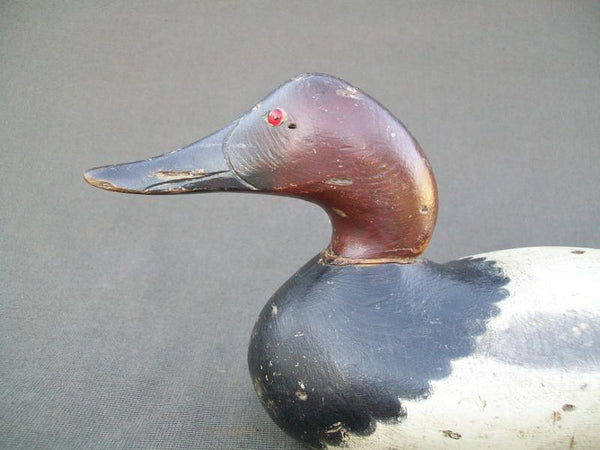 Mason Challenge Canvasback Snakey head