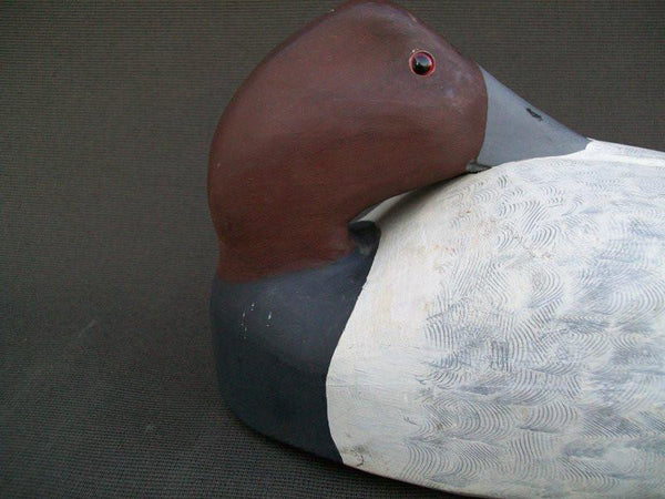 John Barrett Canada Sleeper Canvasback