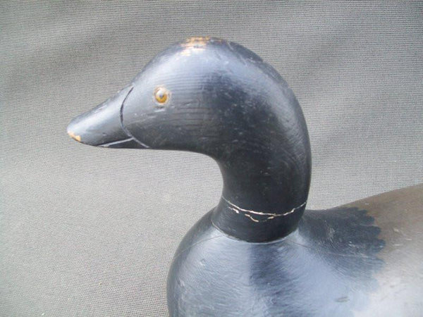 Mason Challenge Grade Brant