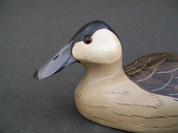 Ruddy Duck by Charles Moore