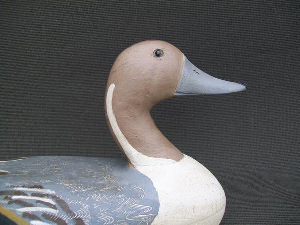 Schoenheider Jr. Pintail Drake Original Paint