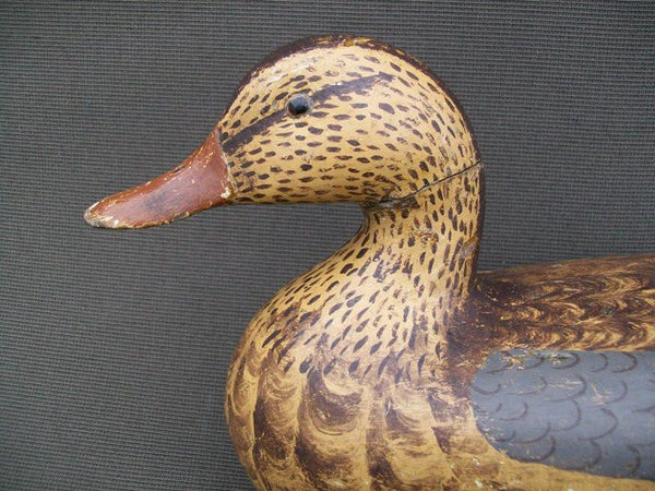 Charles Perdew Mallard Hen with original weight, Henry Illinois