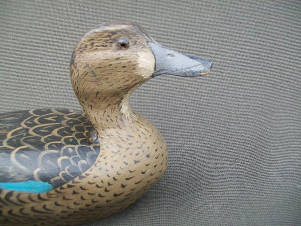 Illinois River Blue Wing Teal Hen