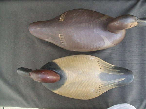 Madison Mitchell Canvasbacks