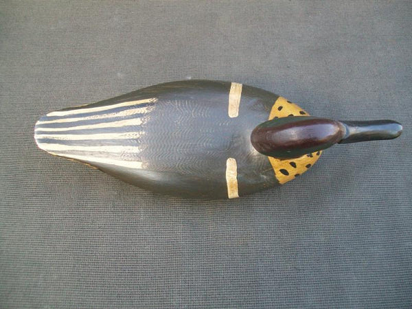 Illinois River Green Wing Teal