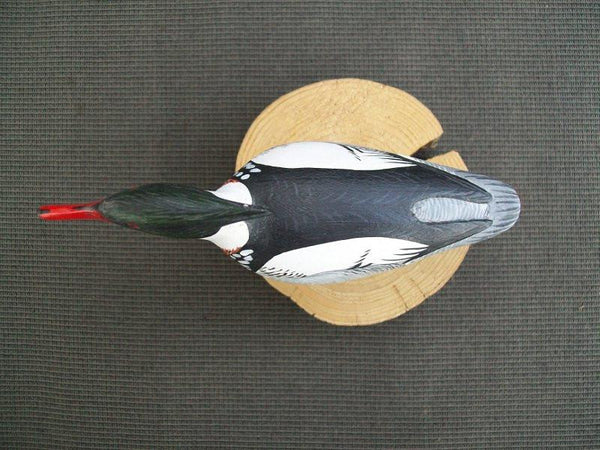 Anthony Hillman Miniature Red Breasted Merganser