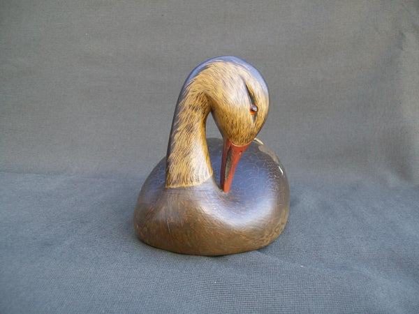 Ken Harris Mallard, Striking Head Position
