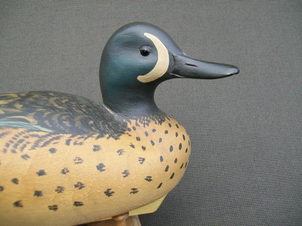 Marty Hanson working Blue Wing Teal