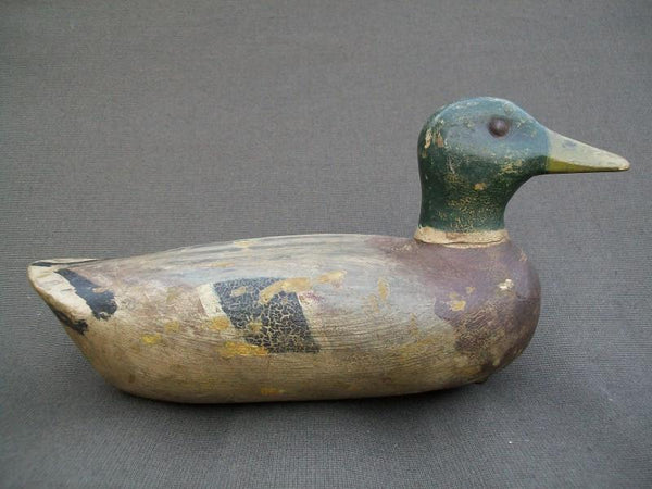 Illinois River Tackeye