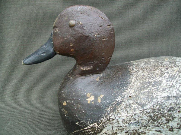 Unknown Wisconsin Redhead Tackeyes