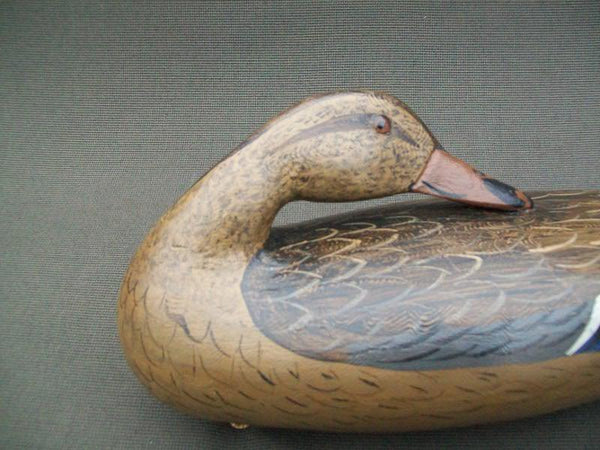 Perdew Style Sleeper Mallard Hen by Charles Moore with weight