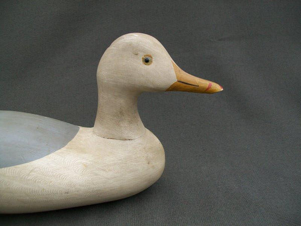 Seagull by Charlie Moore- Very early