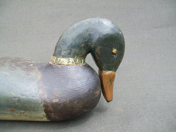 Vintage Preening Mallard Drake