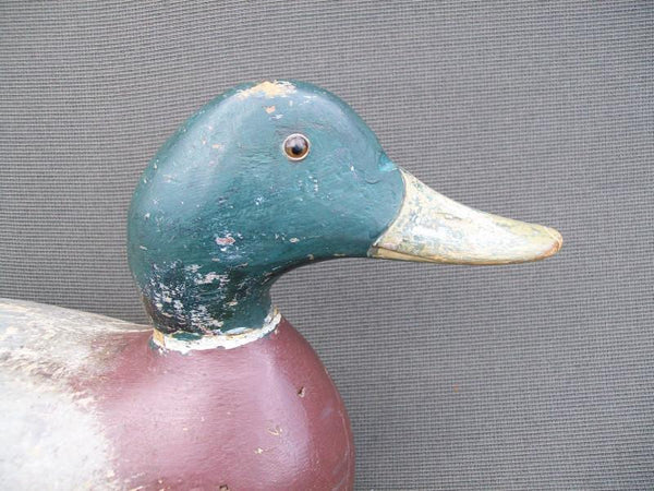 Evans Mammoth Mallard Drake