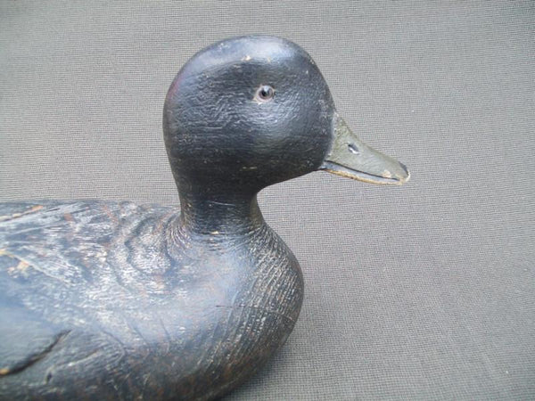 George Guyon Black Duck, Quebec