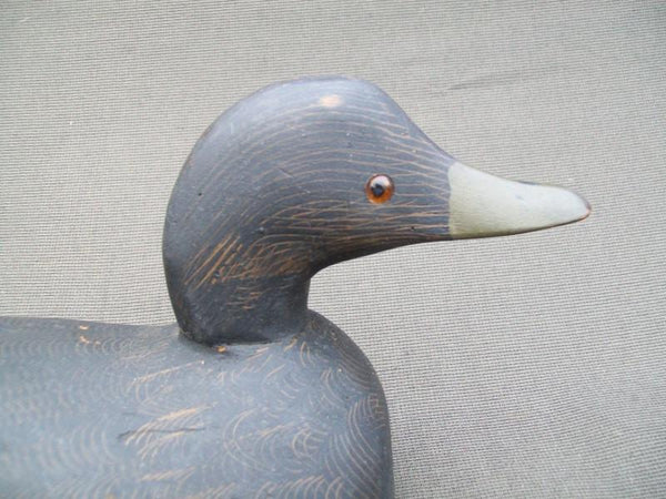 Near Mint Padco Blackduck Original Paint Never Rigged