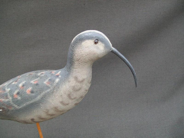 Herters 1893 Series Curlew with stand