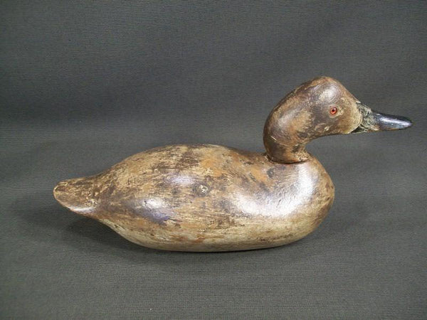 Mason Snakey Head Canvasback Hen