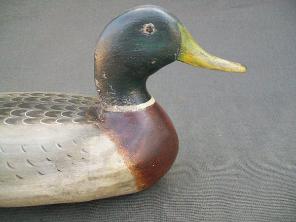 Illinois River Mallard Drake
