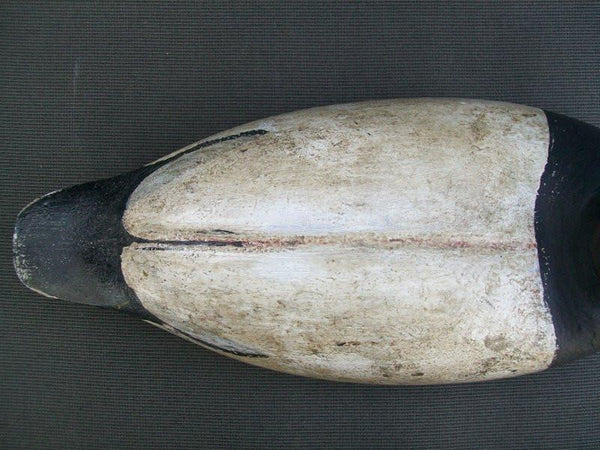 Canvasback Drake Cayuga Lake