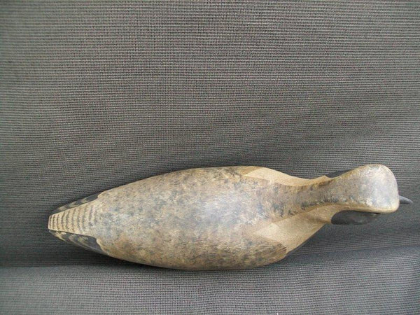 Harry Shourds Black Belly Plover