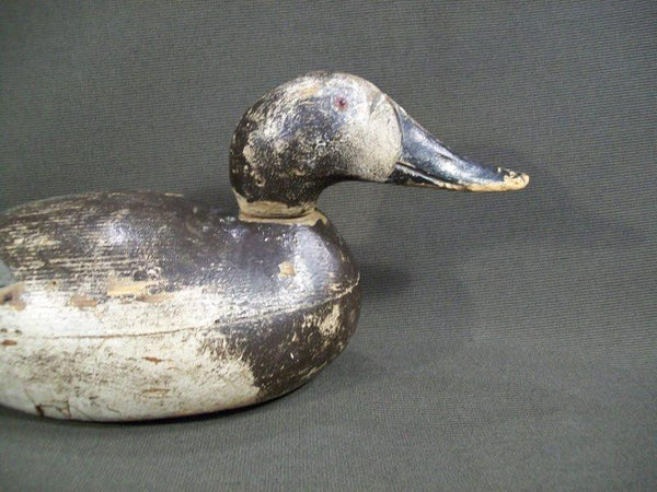 Premiere Mason Canvasback Hen O.P.