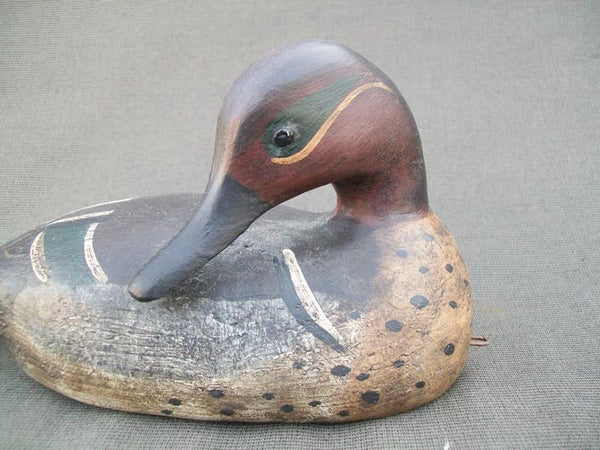 Preening Green Wing Teal- Dennis Entwistle