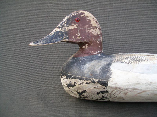 Sibley Drake Canvasback, Original Paint