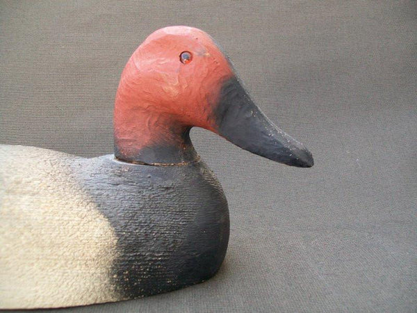 Herters 1893 Series Canvasback