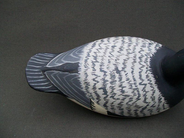 Tom Chiado Blue Bill Drake Signed  (#1013)