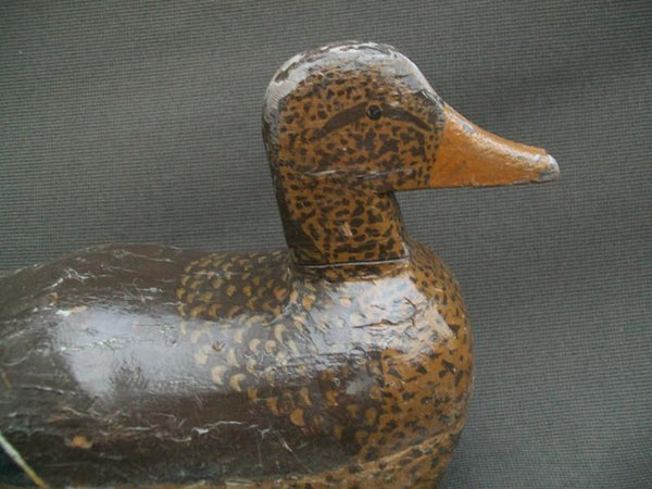 Unknown Humpback Mallard Hen with Weight and rigging hook