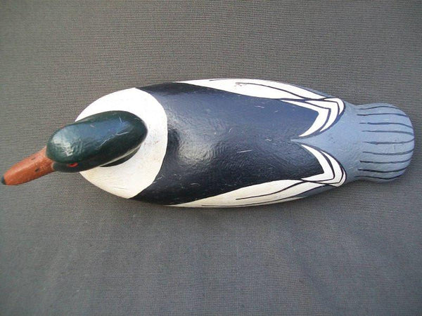 Dallas Valley Common Merganser