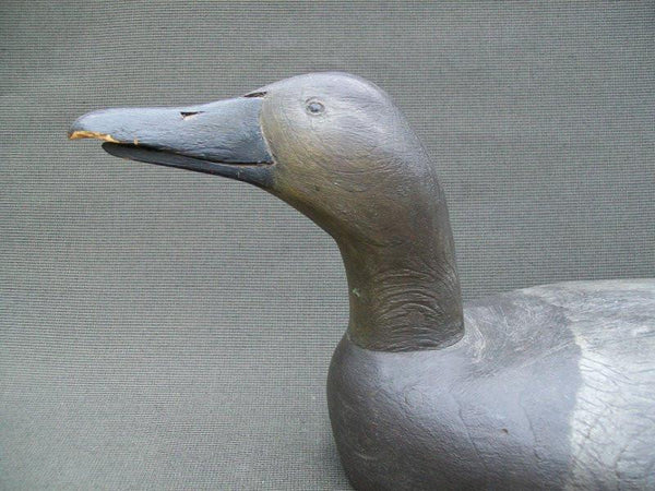 Michigan Calling Canvasback  (#857)