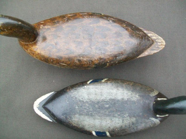 Elliston Mallards Pair