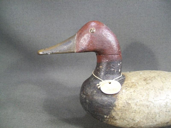 Charles Smith Illinois River Canvasback with weight