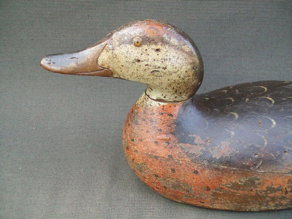 Mason Premier Mallard Hen O.P.