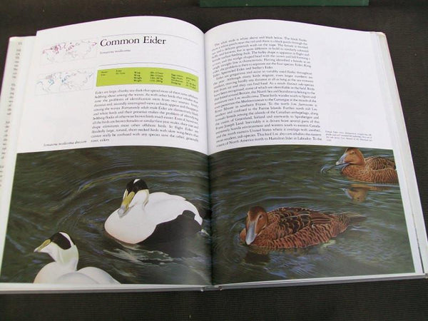 Lot of 2 Hardcover Books - Ducks of North American and the Northern Hemisphere, and American Wildfowl Decoys