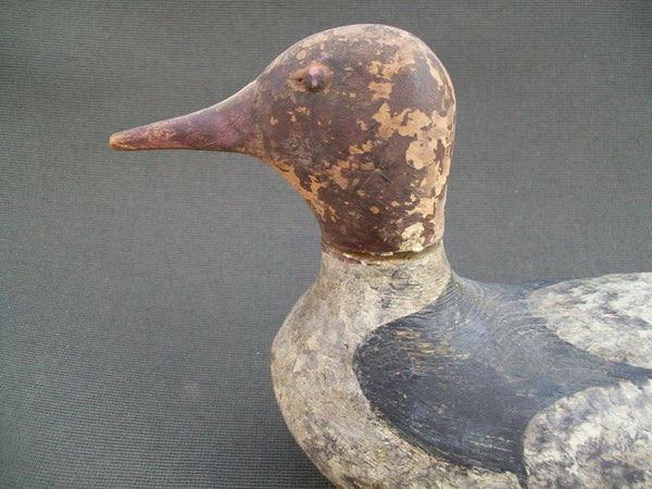 Vintage Tack eye Merganser