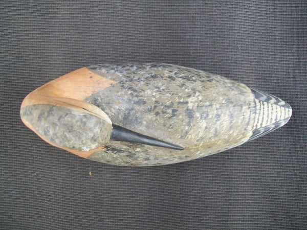 H V Shourds III Preening Shorebird from the Joe French Collection