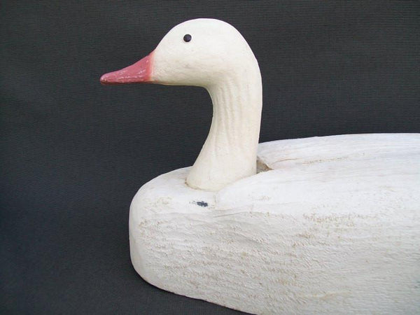 Herters Snow Goose- Tenite Head