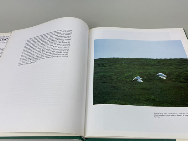 Lot of 3 Books, American Wildfowl Decoys, Wild Fowl Decoys, and Birds of the World Waterfowl