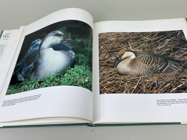 Lot of 3 Books, American Wildfowl Decoys, Wild Fowl Decoys, and Birds of the World Waterfowl