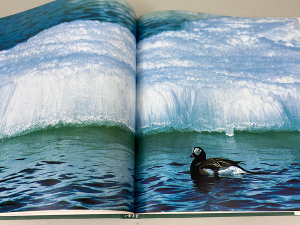Lot of 3 Books, American Wildfowl Decoys, Wild Fowl Decoys, and Birds of the World Waterfowl