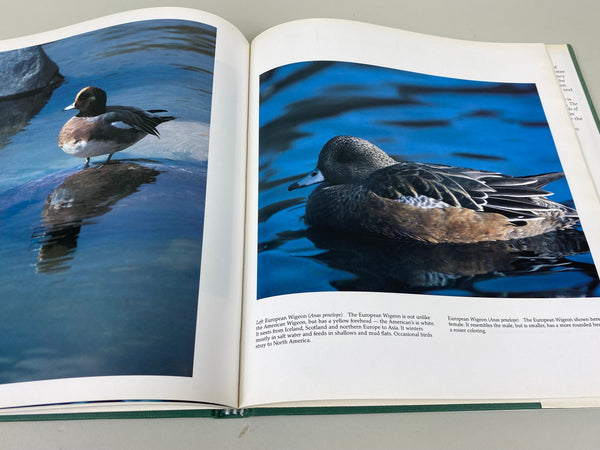 Lot of 3 Books, American Wildfowl Decoys, Wild Fowl Decoys, and Birds of the World Waterfowl