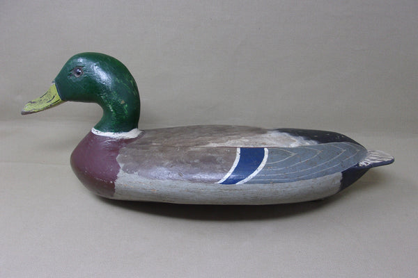 Walter "Tube" Dawson Mallard Drake , Circa 1920's (#4015)